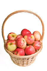 Basket of Apples