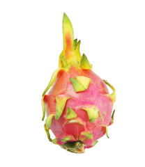 dragon fruit