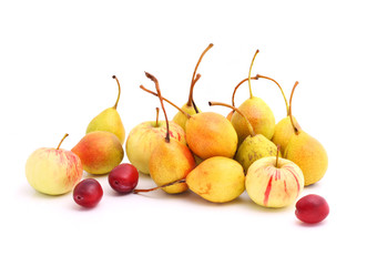 Cultivated fruits on white