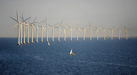 wind farm