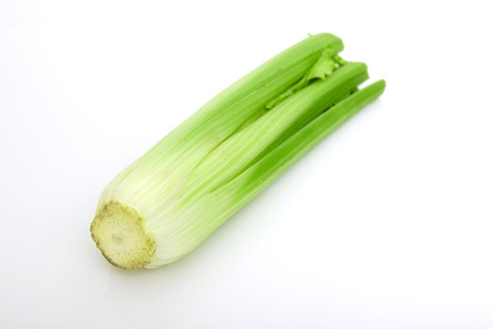 fresh tasty celery
