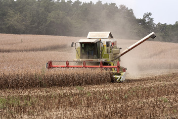 Harvester