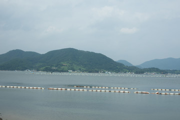Naklejka premium ??, Ky?ngsang-namdo, South Korea