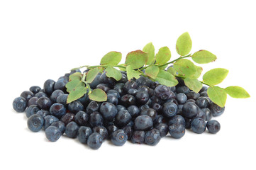 Bilberries