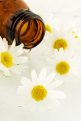 Obraz na płótnie Canvas Massage oil from chamomile flower