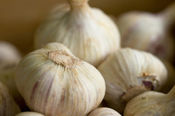 group of garlic in a box