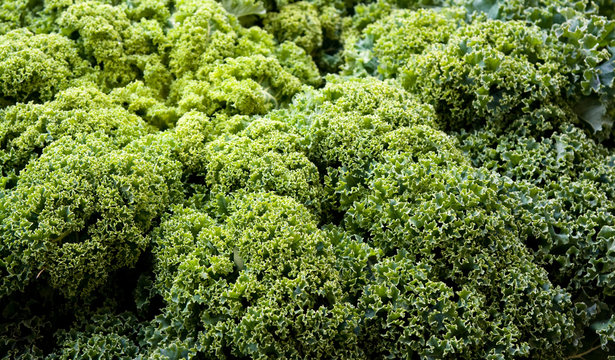 Blumenkohl