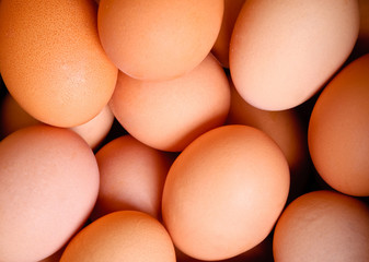 abstract eggs background