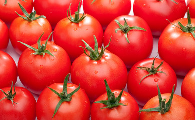 Bright red tomatoes