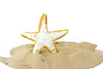 Starfish on the sand