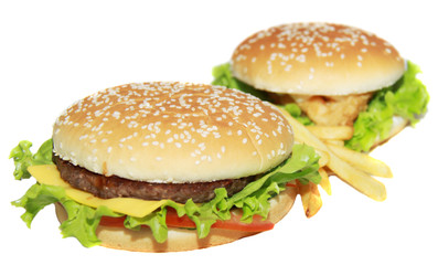 delicious cheeseburger with french fries