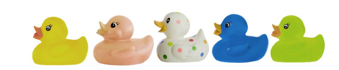 Many ducks toy of different colors