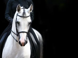 Gardinen Reiter auf weißem Araber © Mari_art