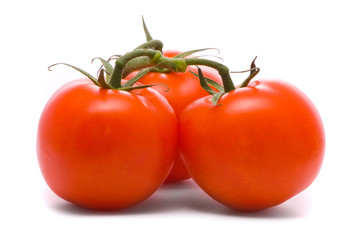 Fresh tomatoes. Macro studio isolated on white.