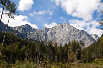 Obraz premium Österreich