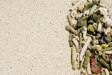 Coral background