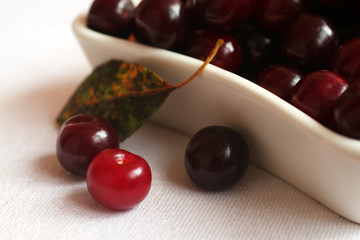 cherry,