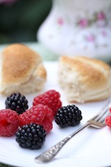 himbeeren und brombeeren