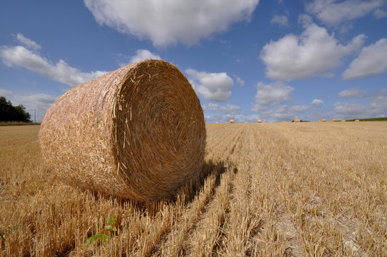 meule de paille