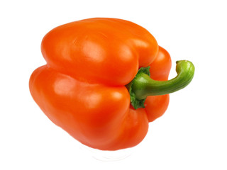 Orange paprika on white background