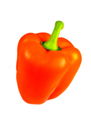 Orange paprika on white background