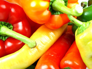 Colored paprikas on white background