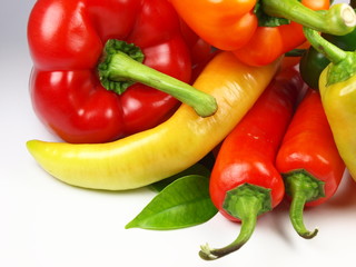 Colored paprikas on white background