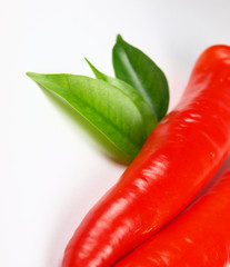 Red paprika on white background