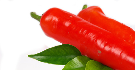 Red paprika on white background