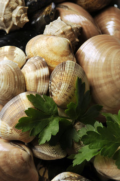 Vongole Fasolari e murici