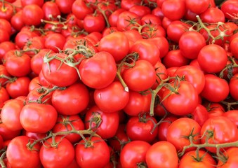 Tomates grappe du marché