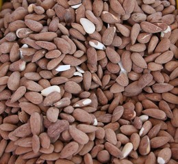 Amandes  - Almonds - Mandeln