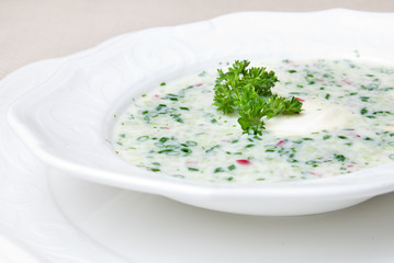 cold soup with choped vegetables and meat on the plate