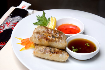 chinese rolls with meat on the plate