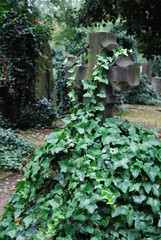 oll historic cemetery