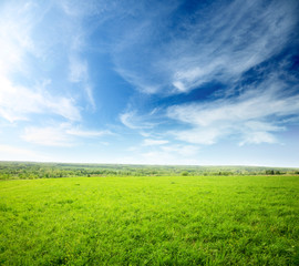 Fototapeta na wymiar field of grass and sunset