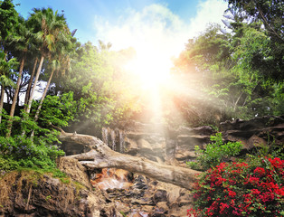 Picture of a tropical background