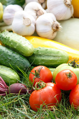 fresh vegetables