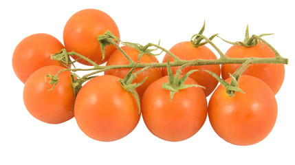 single layer of cherry vine tomatoes on white background