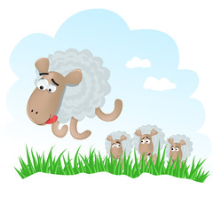 Funny Sheep
