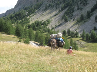 Voyage en âne