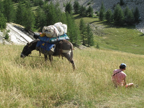 Randonner avec un &acirc;ne