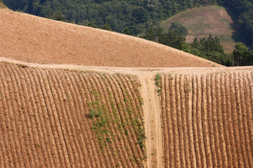 campi arati in collina
