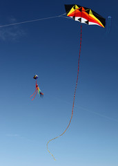 kites