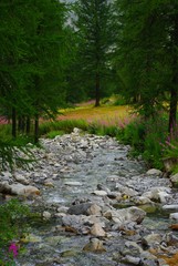 torrent de montagne