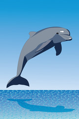 Delfin salando © teracreonte