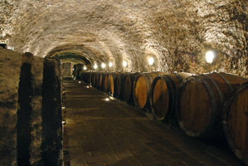 Wine cellar