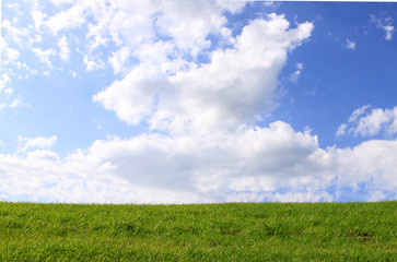 gr&uuml;ne wiese,hintergrund