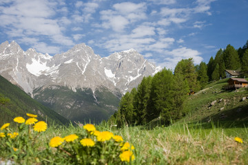 H&auml;user mit Bergblick
