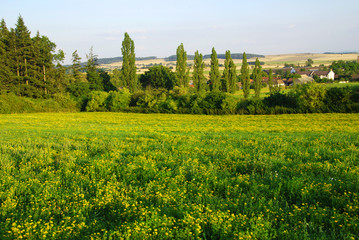 Obraz premium Spring landscape